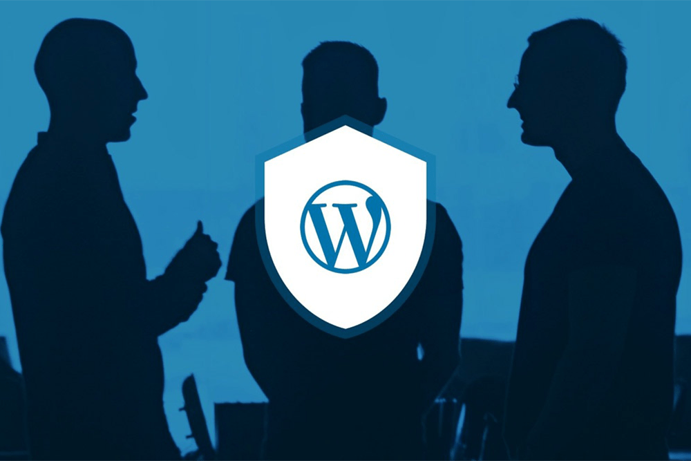 Wordpress Güvenlik Hizmeti